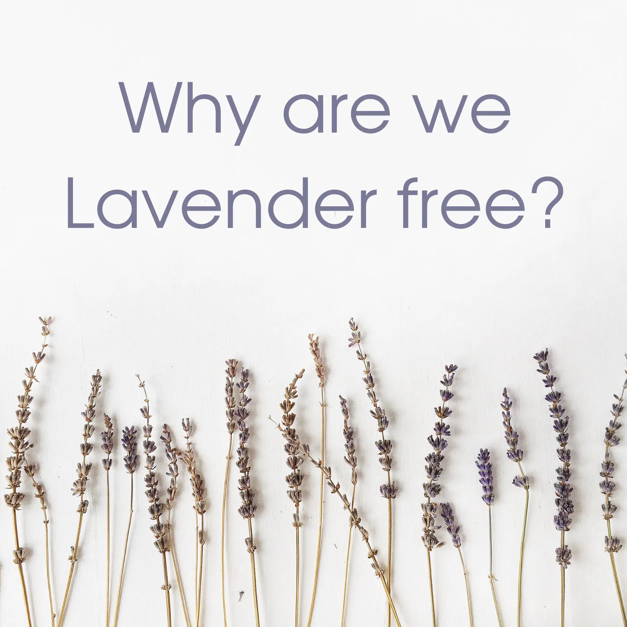 Why are we Lavender Free?
